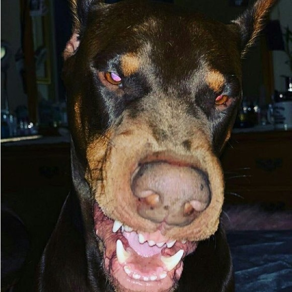 zennkaii